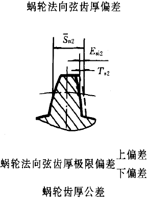 平面二次包絡環面蝸杆傳動精度蝸杆、蝸輪誤差的定義及代号
